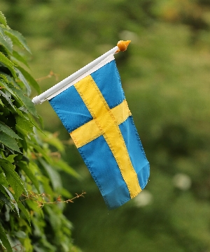 Scandinavian Art Exploration! With the American Swedish Historical Museum